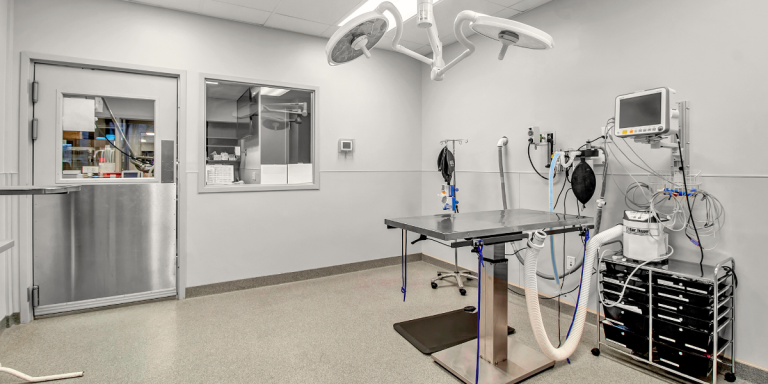 Soft tissue and orthopedic surgery suite at Green Acres Veterinary center