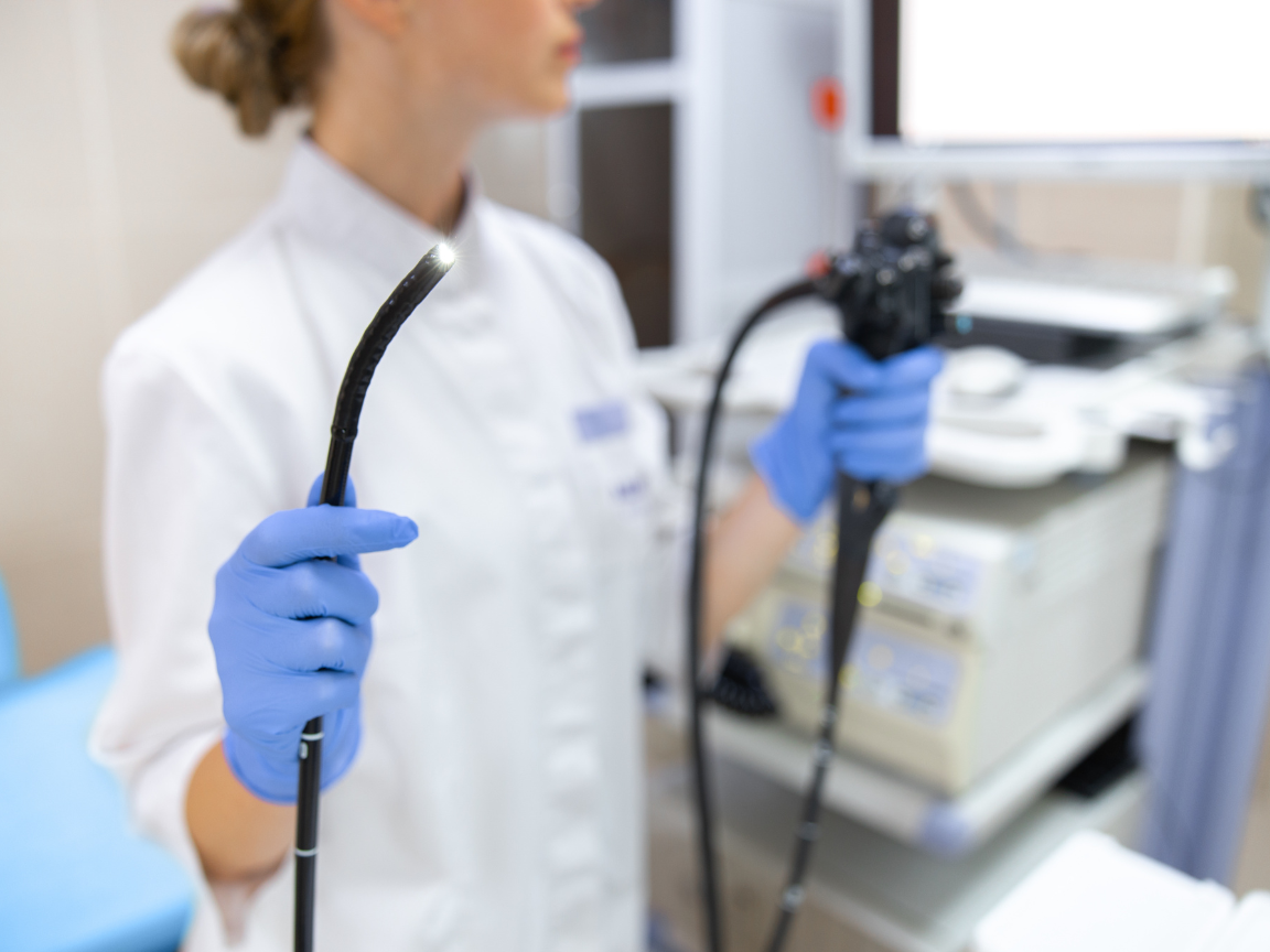 Endoscopy for veterinary use