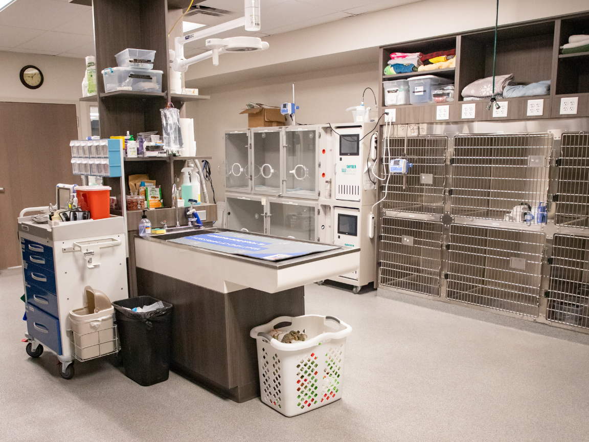 Intensive Care Unit (ICU) at Green Acres Veterinary Center