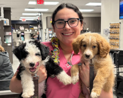 Puppy & Kitten Packages